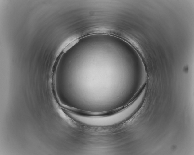 X0000090431042200707272127