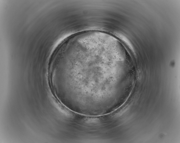 X0000090431043200707272127