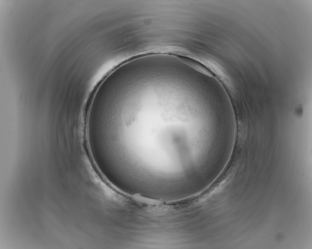 X0000090431046200707272127