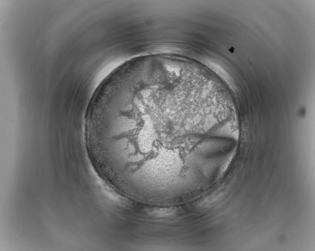 X0000090431047200707272127