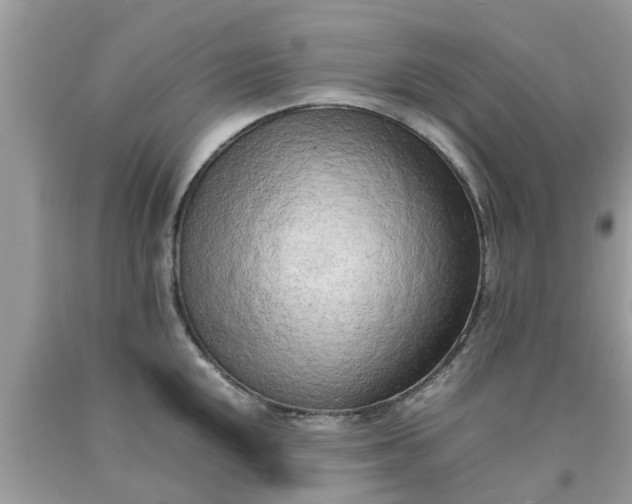 X0000090431048200707272127