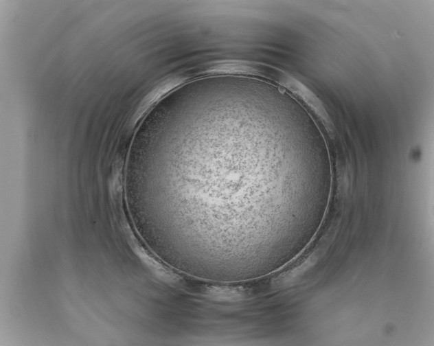 X0000090431049200707272127