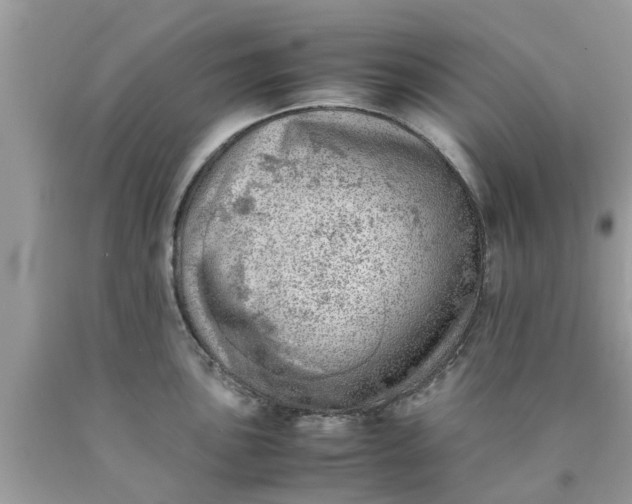 X0000090431051200707272127