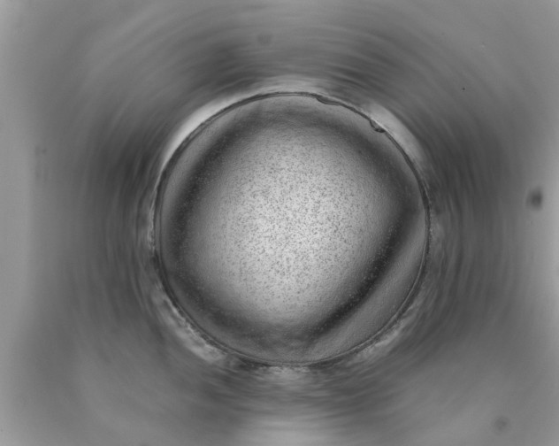 X0000090431052200707272127