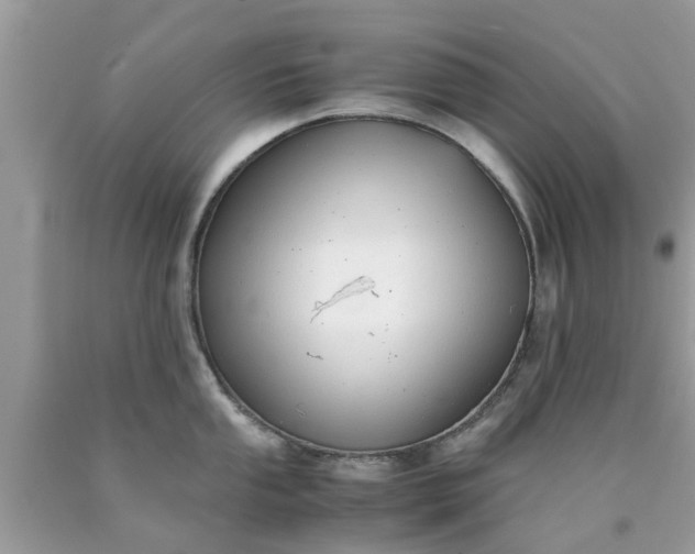 X0000090431053200707272127