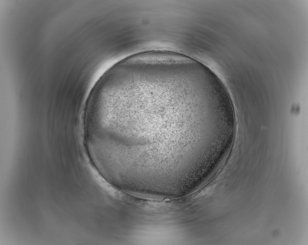 X0000090431056200707272127