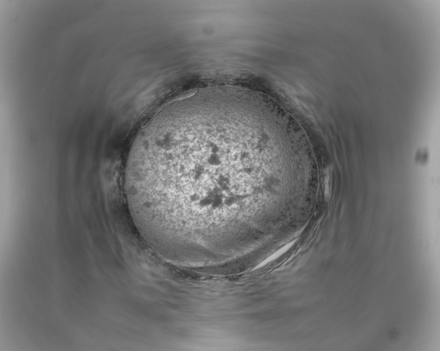 X0000090431059200707272127