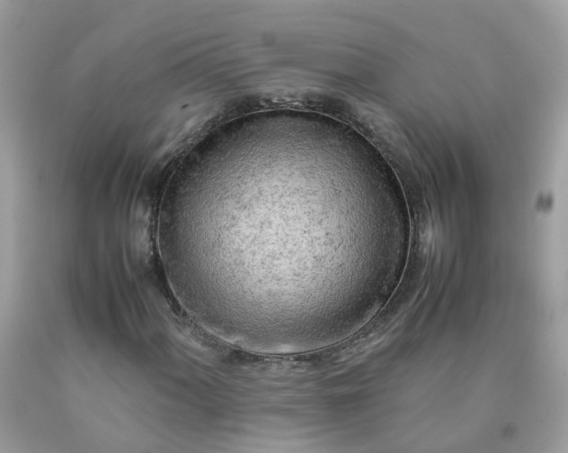 X0000090431060200707272126