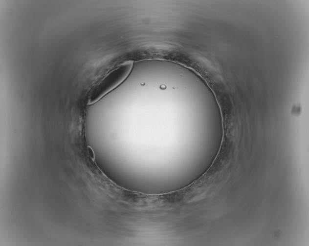 X0000090431061200707272126