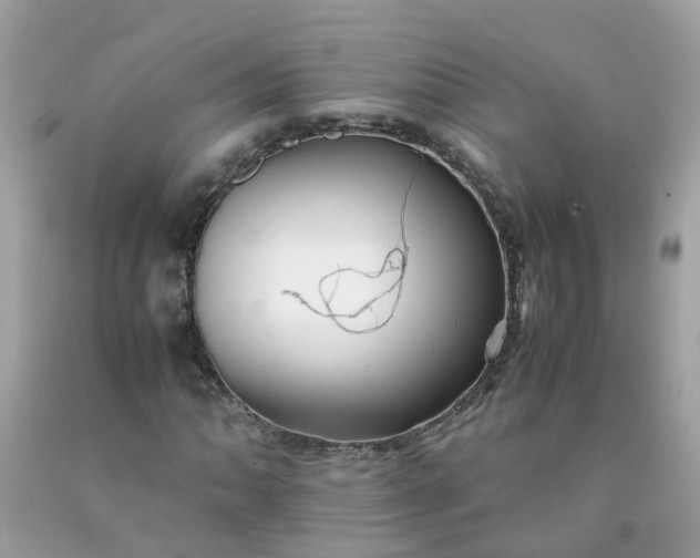 X0000090431062200707272126