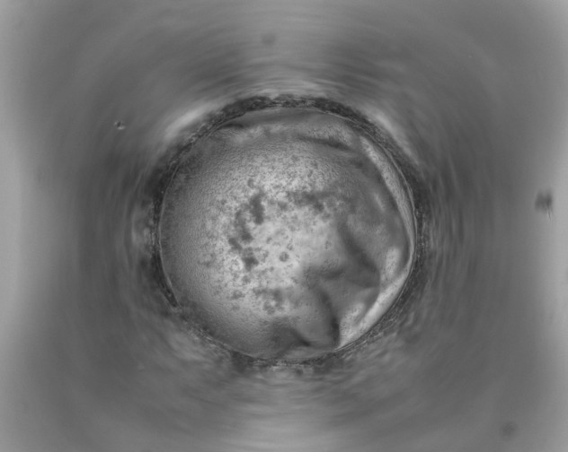 X0000090431063200707272126