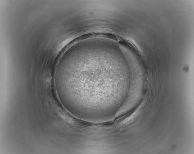 X0000090431065200707272126