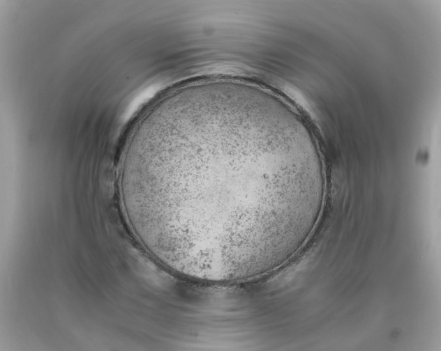 X0000090431067200707272126