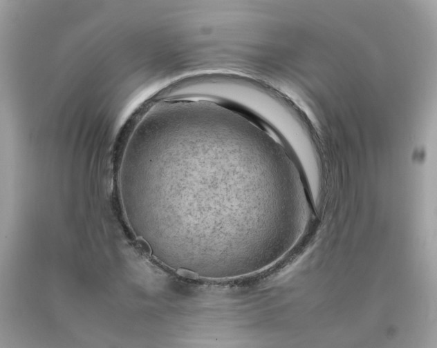 X0000090431069200707272126