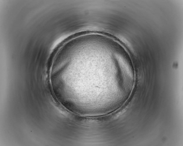 X0000090431070200707272126