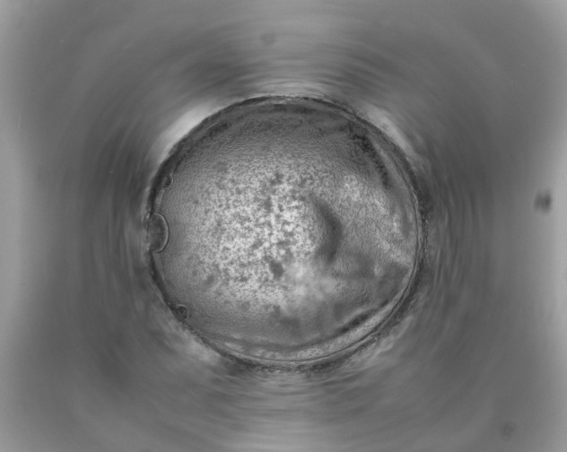 X0000090431071200707272126