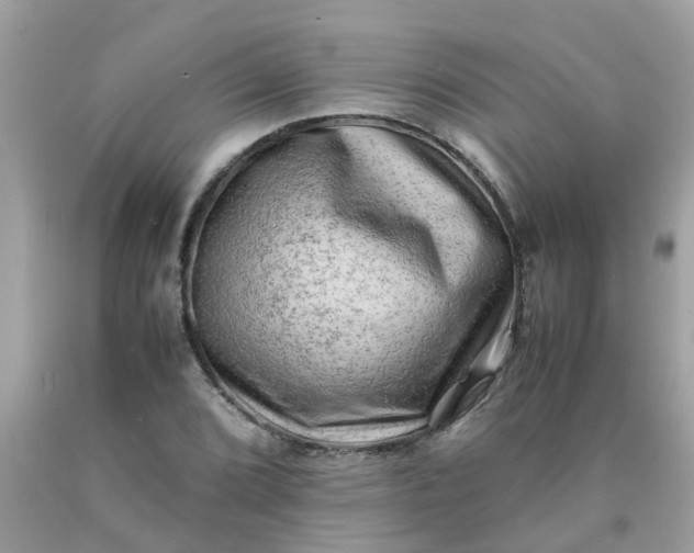 X0000090431072200707272126