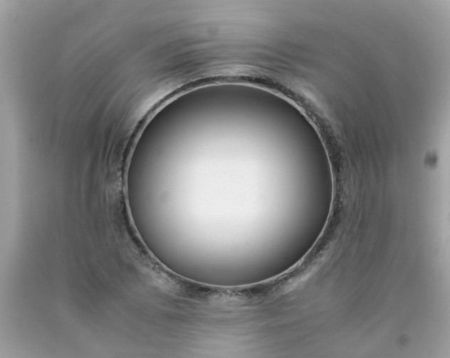 X0000090431073200707272126