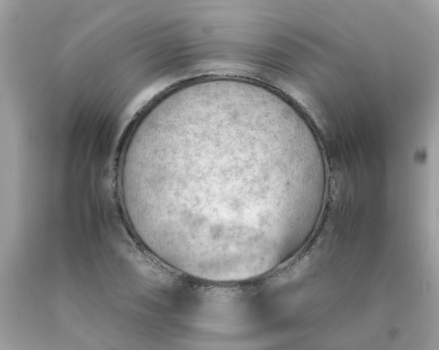 X0000090431074200707272126