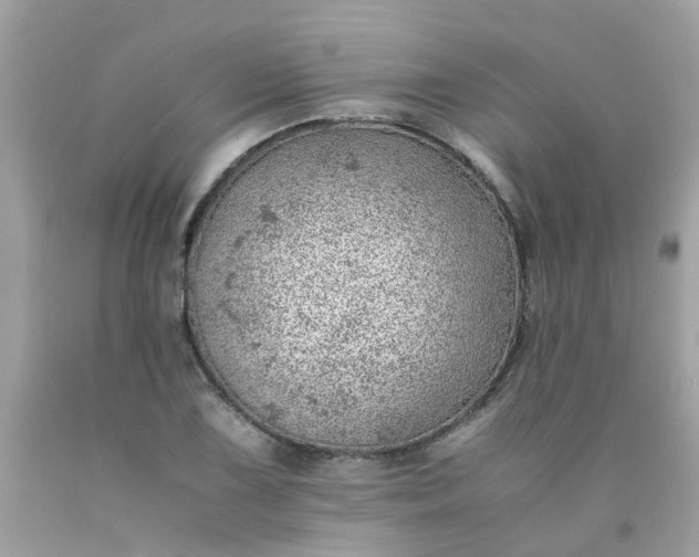 X0000090431075200707272126