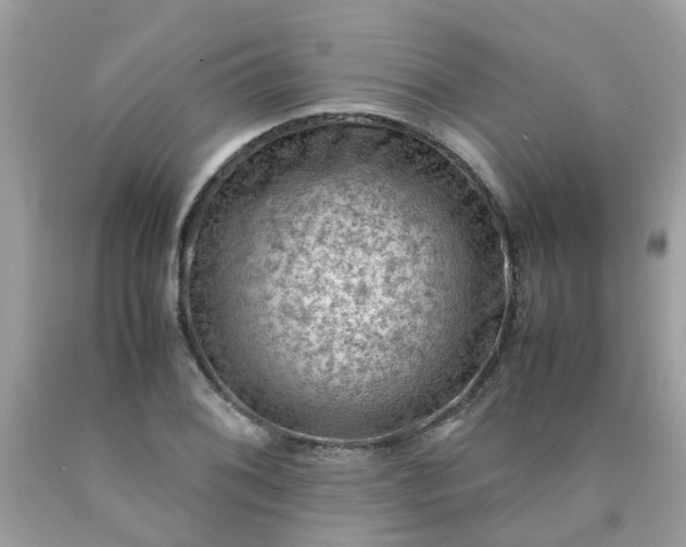 X0000090431076200707272126