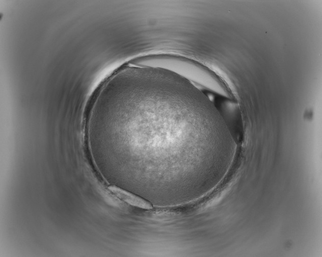 X0000090431077200707272126