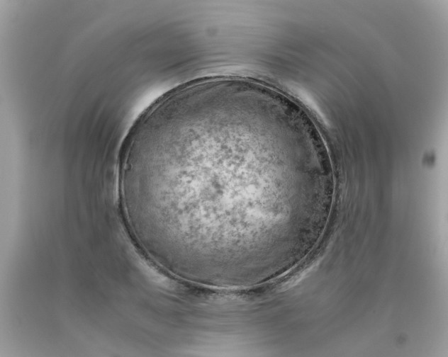 X0000090431079200707272126