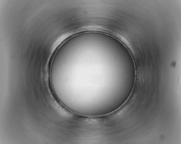 X0000090431082200707272126