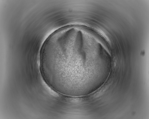 X0000090431084200707272126