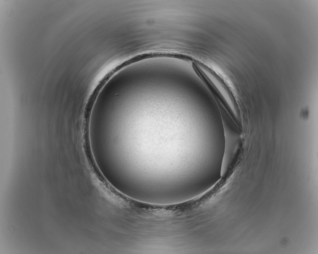 X0000090431085200707272126