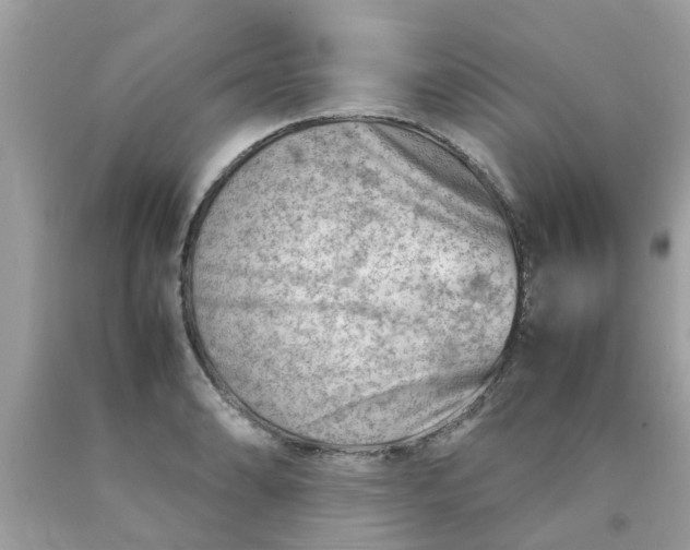 X0000090431086200707272126