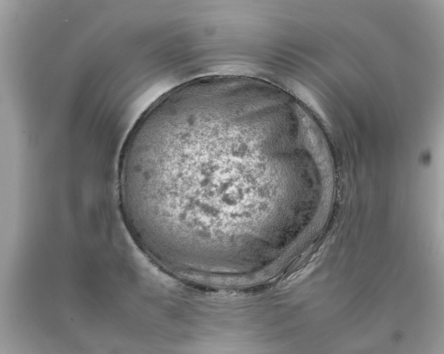 X0000090431087200707272126