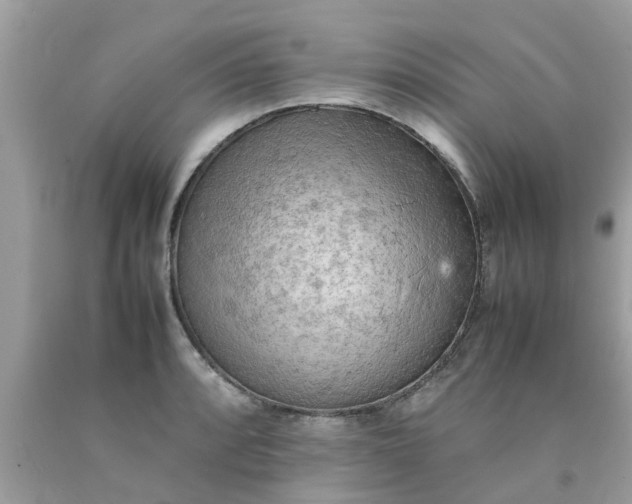 X0000090431088200707272126