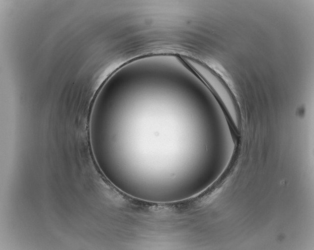 X0000090431089200707272126