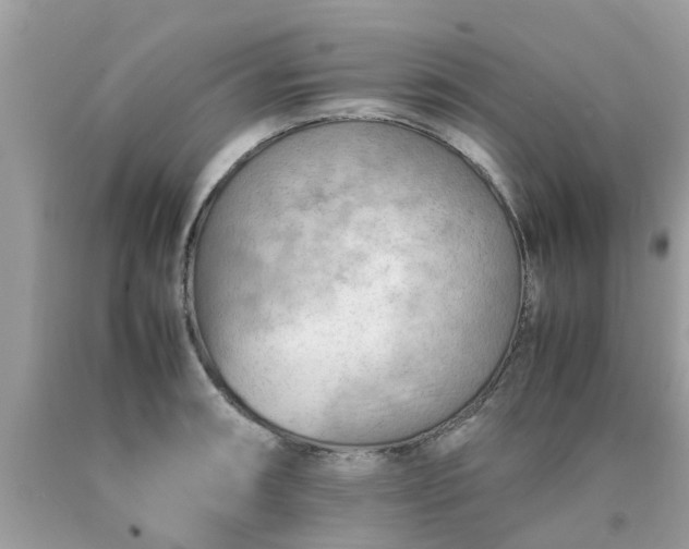 X0000090431090200707272126