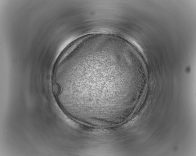 X0000090431091200707272126