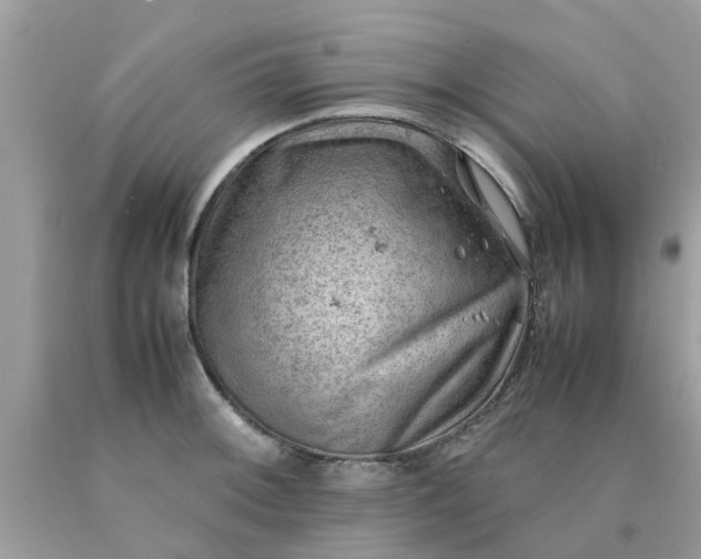 X0000090431092200707272126