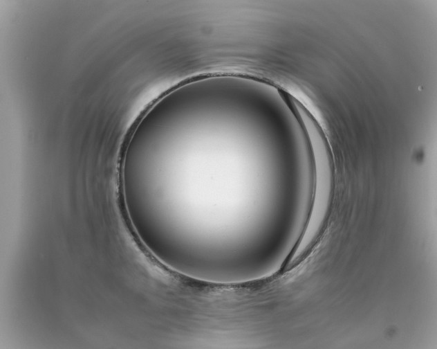 X0000090431093200707272126