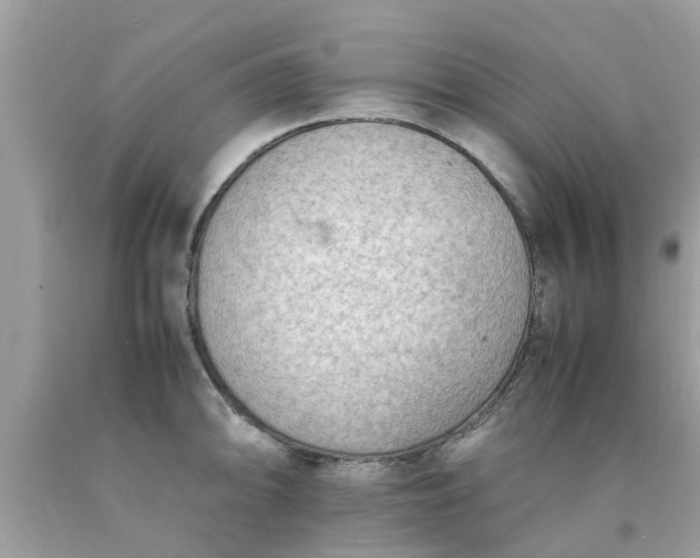 X0000090431094200707272126