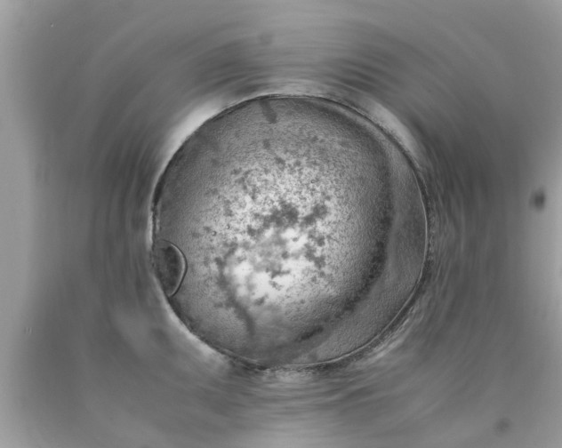 X0000090431095200707272126