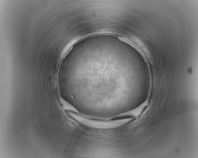 X0000090431097200707272126