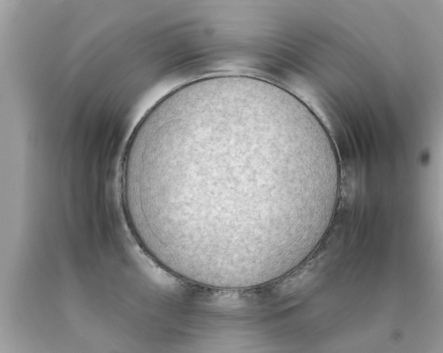 X0000090431098200707272126