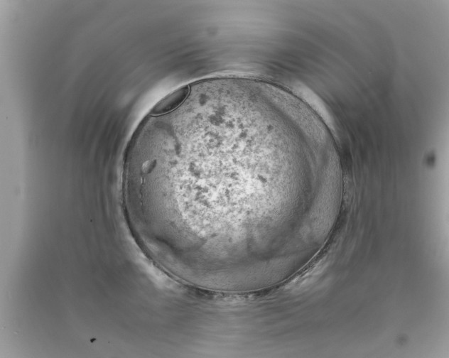 X0000090431099200707272126