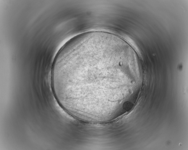 X0000090431100200707272126