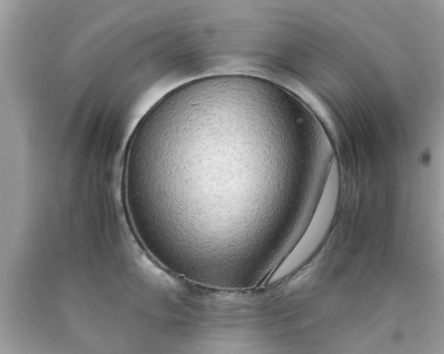 X0000090431102200707272126