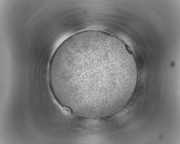 X0000090431103200707272126