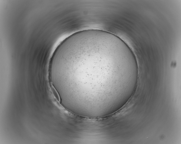 X0000090431104200707272126