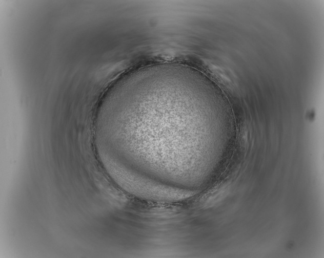 X0000090431105200707272125