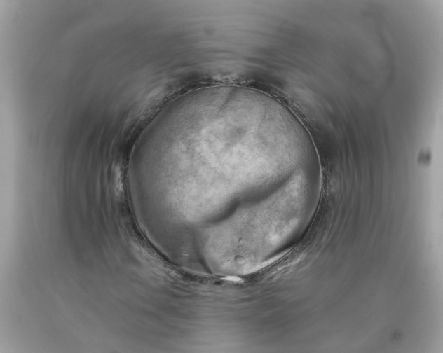 X0000090431106200707272125