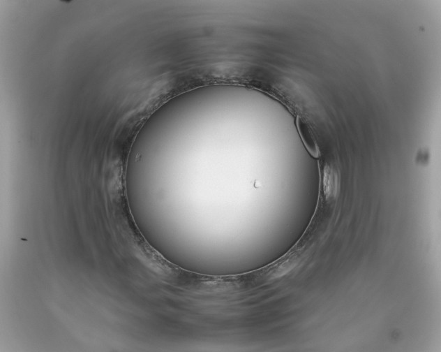 X0000090431107200707272125